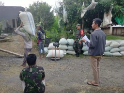 Babinsa Koramil 19 Jatikalen Bersama PPL Melaksanakan Pendampingan Bulog Serap Gabah Dari Petani