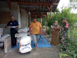 Babinsa dan PPL Gondang Aktif Bersinergi Serap Gabah Petani, Dorong Swasembada Pangan