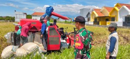 Babinsa Ploso Koramil 0810/01 Nganjuk Aktif Mendampingi Serapan Gabah Kelompok Tani Di Wilayahnya