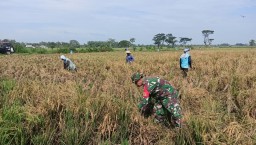 KEMANUNGGALAN TNI DAN PETANI UNTUK MENINGKATKAN KETAHANAN PANGAN DI MASYARAKAT