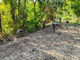 Satgas TMMD Kodim 0810/Nganjuk Mulai Meratakan Jalan Menuju Pengecoran