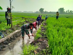 Karya Bhakti Guyup Rukun Babinsa Koramil 0810/02 Bersama Warga Bersihkan Aliran Irigasi