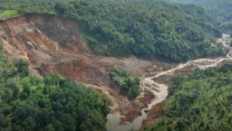Longsor di Ngetos Puluhan Hektar Lahan Pertanian Rusak dan Terancam Gagal Panen