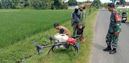 Babinsa Bantu Petani laksanakan Penyemprotan Tanaman Padi