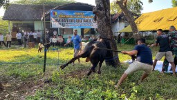 Dandim 0810 || Idul Adha Menjadikan Tauladan Dan Mengajarkan Pentingnya Ketaatan dan Keikhlasan