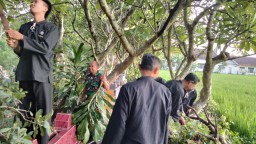 Kegiatan Karya Bakti Pembersihan Makam Bersama Babinsa Desa Sekarputih