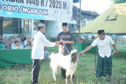 Dandim Serahkan Hewan Qurban Idul Adha 1446 H Kepada Panita Qurban Kodim 0810/Nganjuk