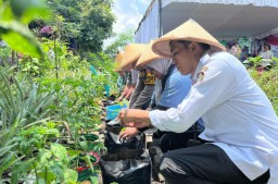 Dukung Program Ketahanan Pangan, DKPP Dorong Manfaatkan Lahan Kosong Sekitar Rumah