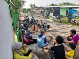 Babinsa Bersama PKL Pertanian Sosialisasi Penanganan Hama Wereng Padi