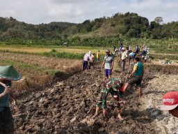 Babinsa Koramil 0810/20 Ngluyu Bersama Warga Laksanakan Kerja Bakti Pembuatan Jalan di Dusun Cabean