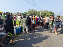 Babinsa Bersama instansi terkait dan Petani Lakukan Penyemprotan Hama wereng