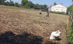 Babinsa terus dampingi Petani Untuk Sukseskan Hasil Panen  