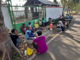 Suskeskan Swasembada Pangan | Babinsa terus Dampingin Petani