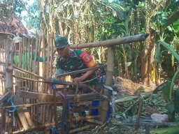 Kepedulian Babinsa Bantu Pembongkaran Kandang Milik Warga