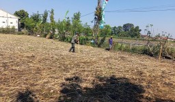 BABINSA KORAMIL 0810/10 TANJUNGANOM PENDAMPINGAN DENGAN PETANI" DI WILAYAH DESA KEDUNGOMBO KEC. TANJUNGANOM
