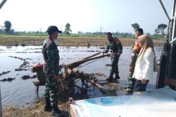Sinergi TNI dan PPL Tingkatkan Kapasitas Petani di Wilayah Kecamatan Ngronggot