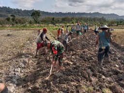 Babinsa Desa Sugihwaras Jadi Penggerak Kerja Bakti Pembuatan Badan Jalan di Dusun Cabean