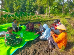 Babinsa Girirejo Sosialisasikan Pertanian dan Perkuat Sinergi dengan Masyarakat