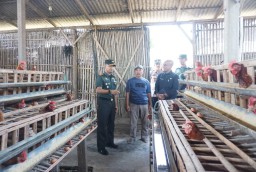 Dandim Nganjuk Tinjau Lokasi Ketahanan Pangan Terpadu di Kabupaten Nganjuk