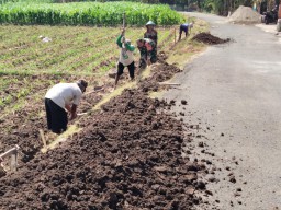 Babinsa Koramil Bagor Bersama Warga Bangun Tanggul Jalan Sawah di Sekarputih
