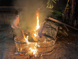 Polisi Bongkar Dua Lokasi Diduga Arena Sabung Ayam di Malang