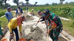 Babinsa dan Warga Kompak Perbaiki Jalan Akses Sawah di Desa Tanjung