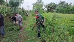 Akses Jalan ke Sawah Lebih Mudah Berkat Gotong Royong Babinsa dan Warga