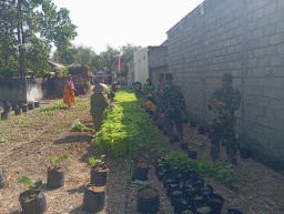Koramil 0810/11 Prambon Bagikan Hasil Panen Sayur kepada Warga Sugihwaras