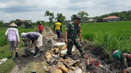 Babinsa Koramil Rejoso Gotong Royong Bangun TPT Bersama Warga di Jalan Persawahan Wilayah Binaannya