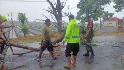 Babinsa Koramil 0810/15 Rejoso dengan Tanggap Bantu Warga Bersihkan Pohon Tumbang di Wilayah Binaannya