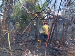 Lalai Bakar Sampah, Kandang Ternak di Nganjuk Ludes Dilalap Api