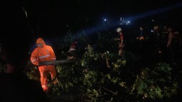 Angin Puting Beliung Landa Lamongan, Jalanan Lumpuh dan Bangunan Rusak