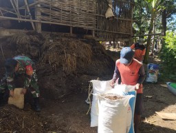 Babinsa Koramil 0810/04 Berbek Bantu Warga Angkut Pupuk Kandang untuk Tanaman Jagung