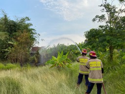 Waspada Musim Kemarau! Bakar Sampah Menyulut Kebakaran Lahan di Kertosono, Nyaris Merembet ke Rumah Warga