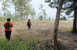 24 Jam Lebih Menghilang Nenek di Gondang Ketemu di Hutan Begini Kondisinya