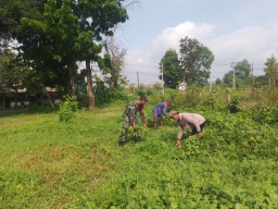 Babinsa Desa Sambikerep Bersama Warga Binaannya Laksanakan Kerja Bakti di Lokasi Rencana Pembangunan Koperasi Desa Kelurahan Merah Putih (KDKMP)