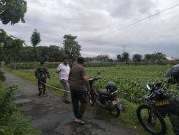Danramil dan Babinsa Cek Lokasi Lahan untuk Pembangunan Koperasi Desa/Kelurahan Merah Putih (KDKMP)
