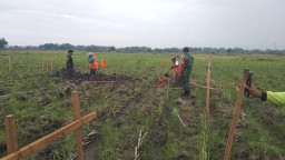 Babinsa Gandu Dorong Percepatan Pembangunan Gerai Koperasi Merah Putih