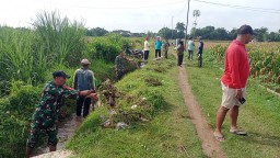 Koramil 0810/09 Ngronggot Bersama Masyarakat Gelar Kerja Bakti Bersihkan Saluran Irigasi