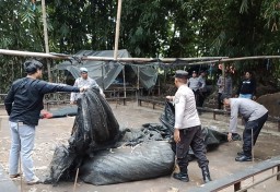 Polsek Ngronggot Bongkar Arena Sabung Ayam, Ternyata Kosong Melompong