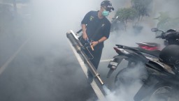 Waspada! Dalam 10 Bulan, Kasus DBD di Kabupaten Blitar Tembus 525, Lima Warga Meninggal