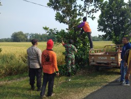 CIPTAKAN LINGKUNGAN YANG BERSIH BABINSA MELAKSANAKAN KERJA BAKTI PEMBERSIHAN POHON DI PINGGIR JALAN YANG MENGGANGU PENGUNA JALAN DI DESA NYA.