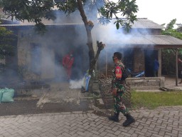 Babinsa Pelem Dampingi Kegiatan Fogging Cegah DBD di Wilayah Binaan