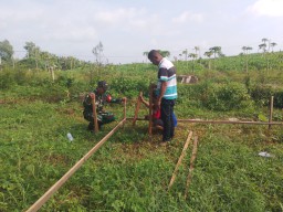 Babinsa Koramil 0810/15 Rejoso Dampingi Pemasangan Boplang Pembangunan Koperasi Desa di Sambikerep
