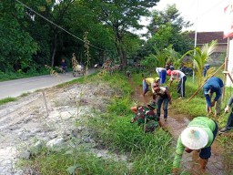 Antisipasi Banjir Anggota Koramil 0810/03 Loceret dan Warga Bersihkan Aliran Sungai di Desa Karangsono