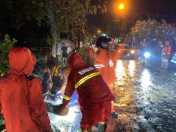 Diguyur Hujan Lebat Berjam-jam, Empat Titik di Tulungagung Dilanda Pohon Tumbang