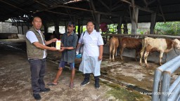 Awal 2026, Disnak Jombang Perketat Antisipasi PMK usai 28 Ekor Sapi Dinyatakan Positif