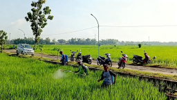 Begini Gerdal Dispertan Nganjuk, Mengatasi Serangan Penyakit Kresek dan Blas