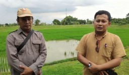 Embung Cerme Beralih Fungsi Jadi Lahan Pertanian, Begini Penjelasan Kepala Desa