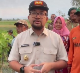 Jelang Panen,Jangan Sampai Spekulan Permainkan Harga di Nganjuk